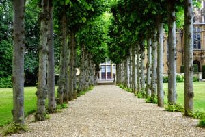 Real Estate and Global Mobility: International Property Ownership Trends