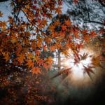 Vacations and Climate Considerations: Choosing Destinations by Season