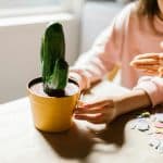 Simulation-Based Learning for Real-World Skills