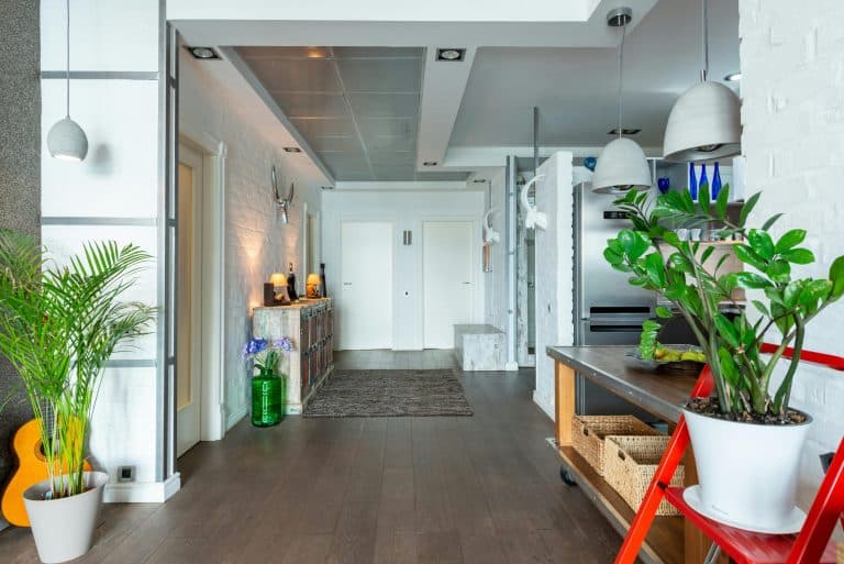 The Psychology of Home Organization: Creating Functional Living Spaces